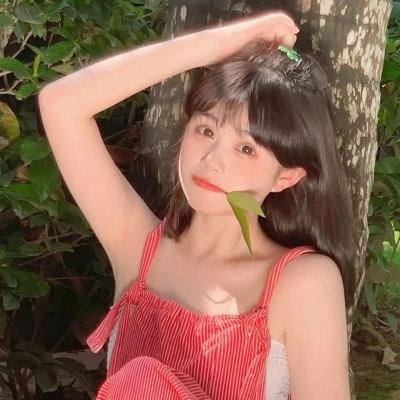 众生游极光下载